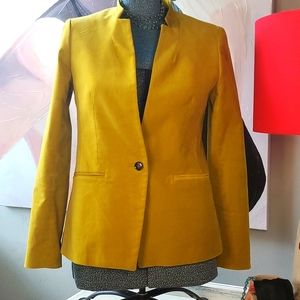 Banana Republic Citron Velvety Blazer